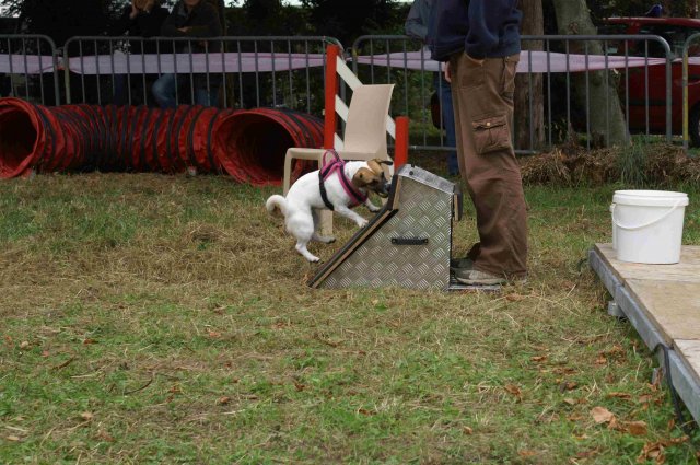 foire-haricots 2011-09-17et18